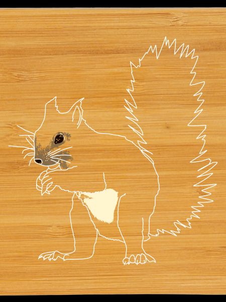 Squirrel lineart