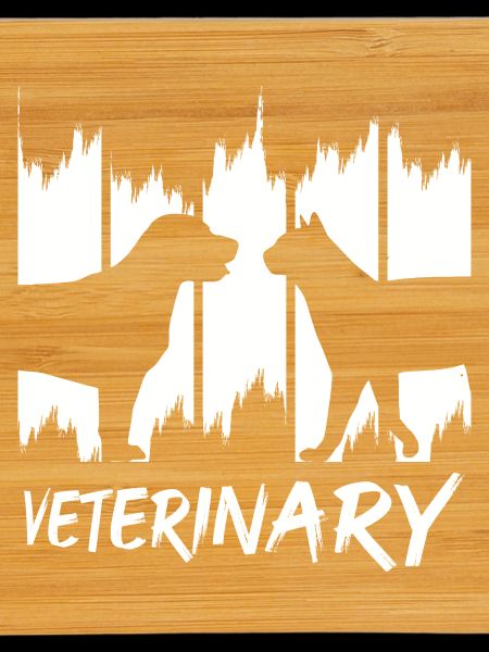 Funny veterinarian