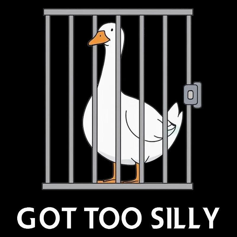 Goose – Got Too Silly