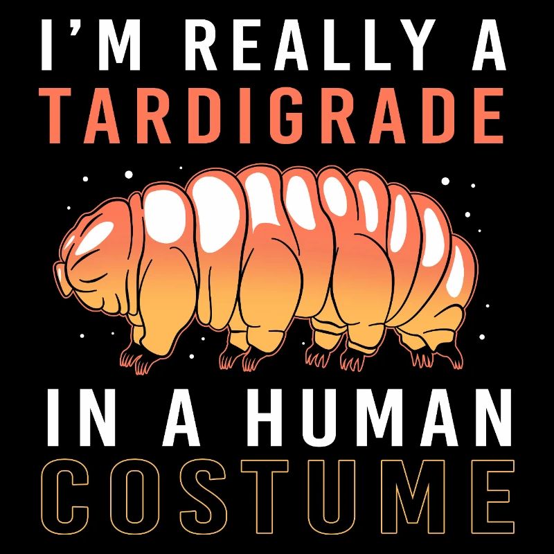 Tardigrade Tardigrade Water Bear Tardigrade
