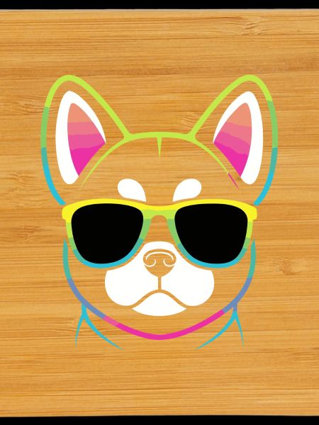 Regenbogenhund mit Brille