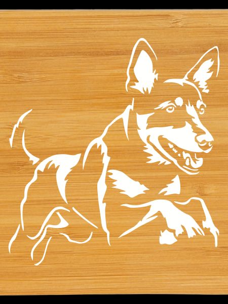 Australian Kelpie « Édition Noire »