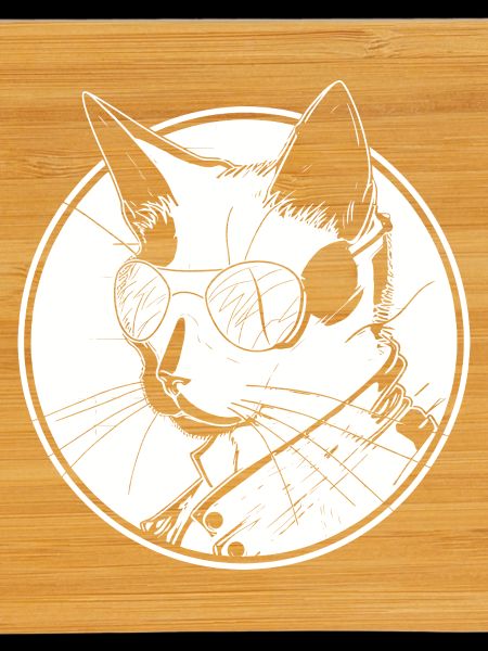 Steampunk chat