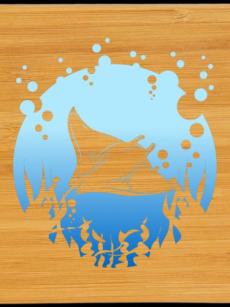 Manta Rochen