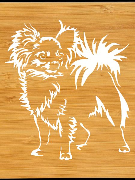 Chihuahua"Black Edition"