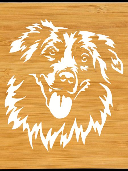 Australian Shepherd Head "Black Edition"