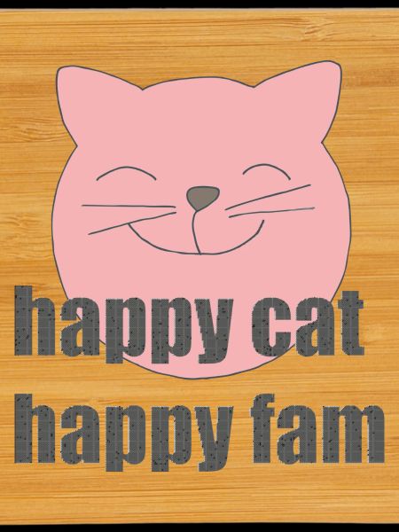 Chat heureux