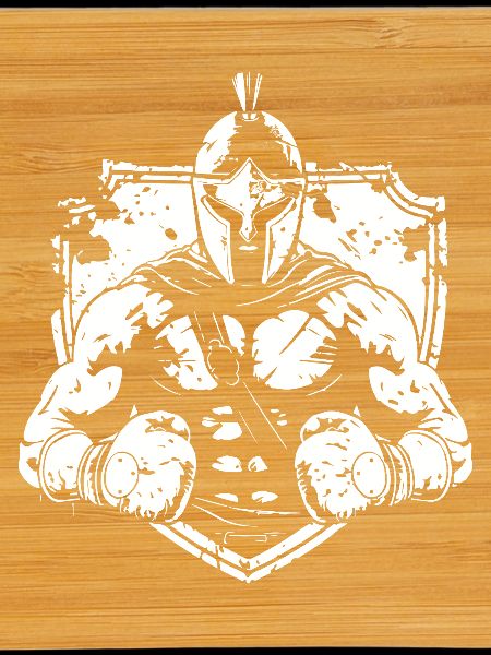 Boxe Spartan MMA