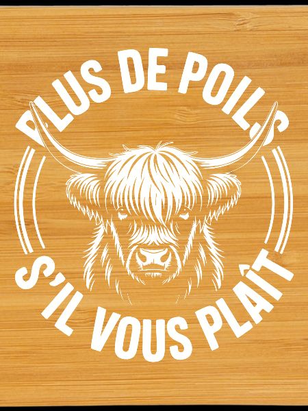 Vache Highland Poils