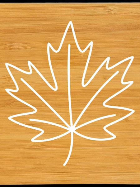 Minimum Leaf Outline