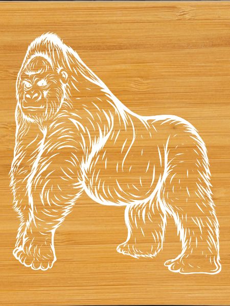 Gorilla