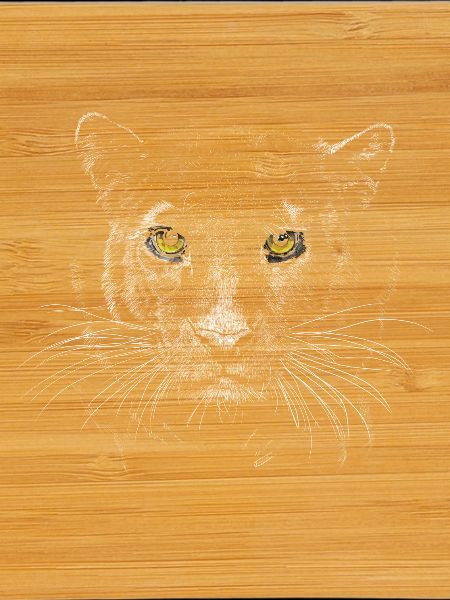 Panther