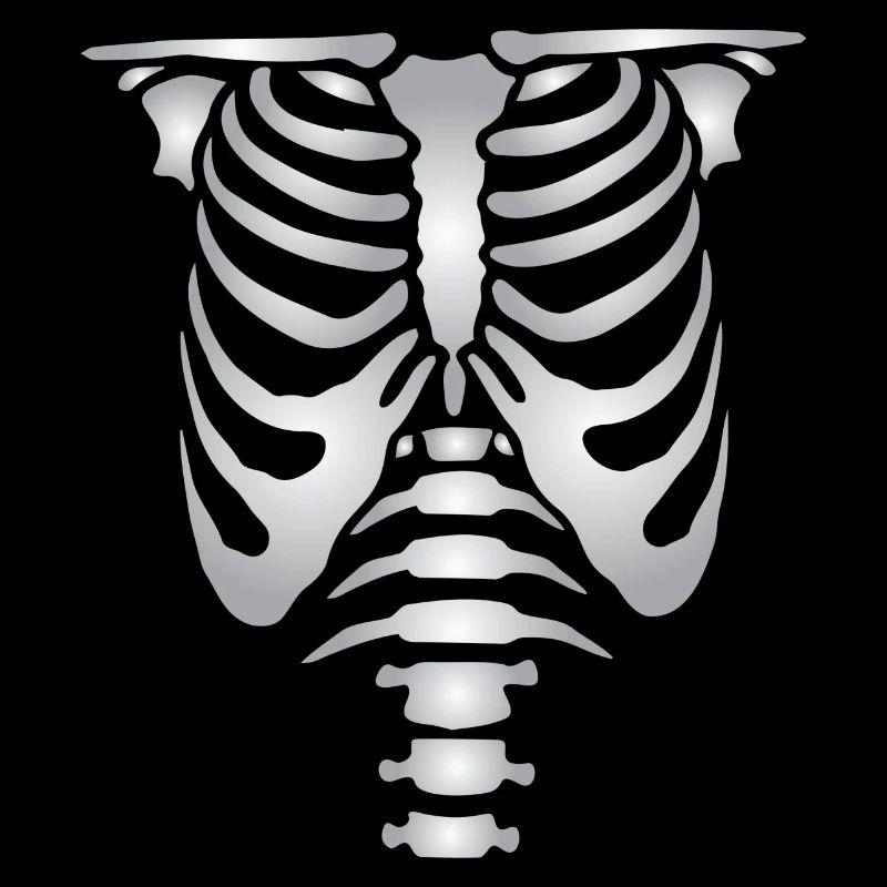 Human skeleton bones torso