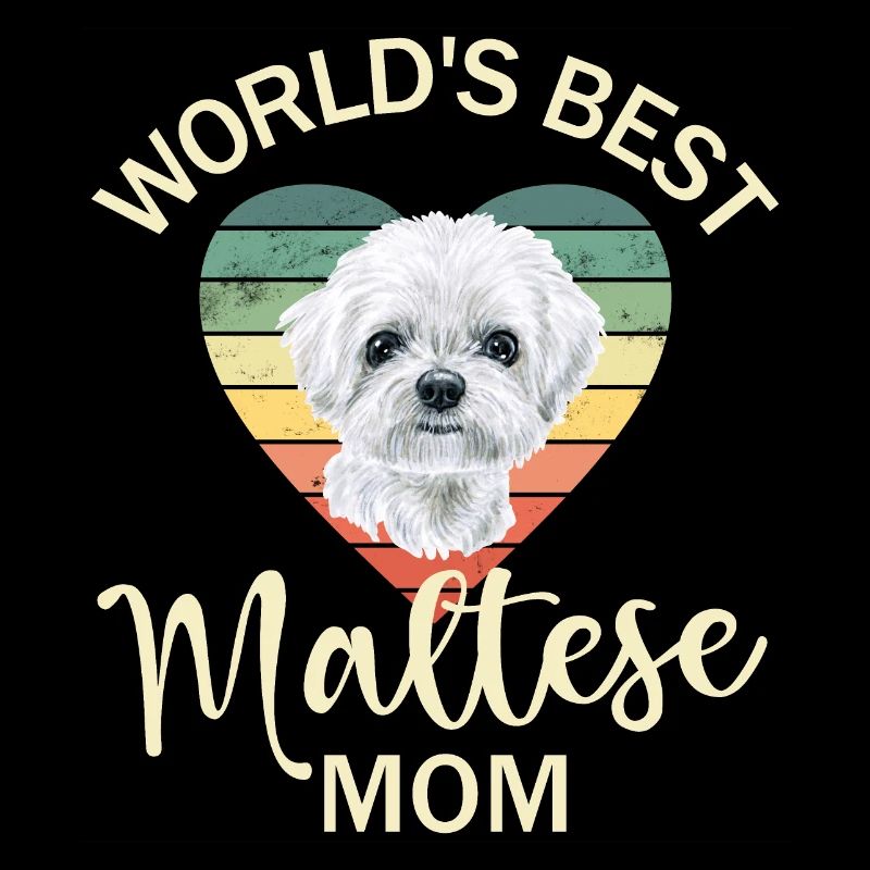 Chien maltais