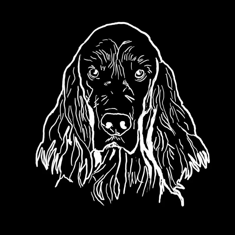 Setter irlandais