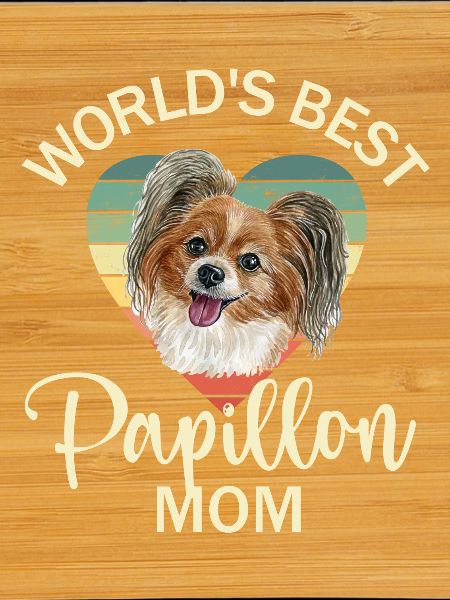 Dog Papillon Dwarf Spaniel