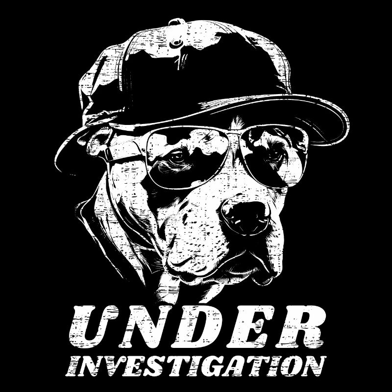 Pitbull - Under Investigation