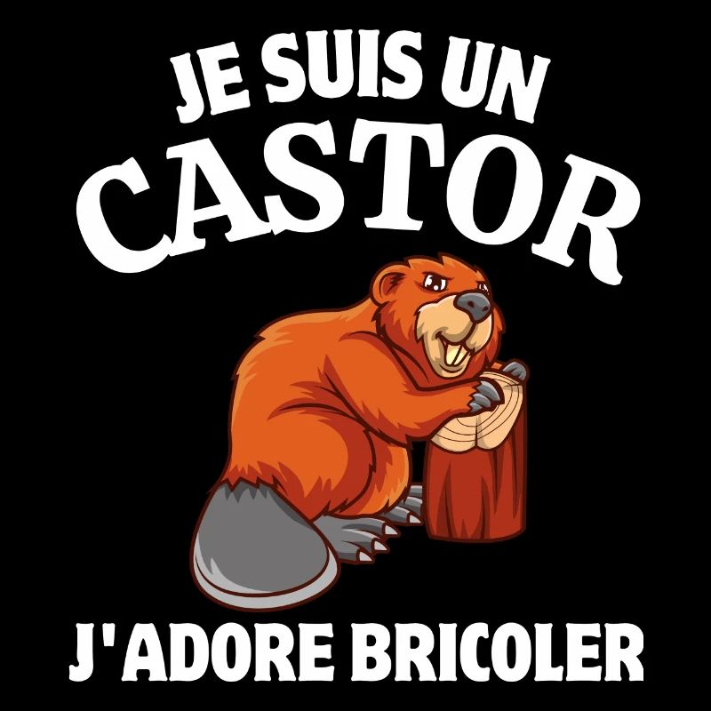 bricoler, bricolage, bricoleur