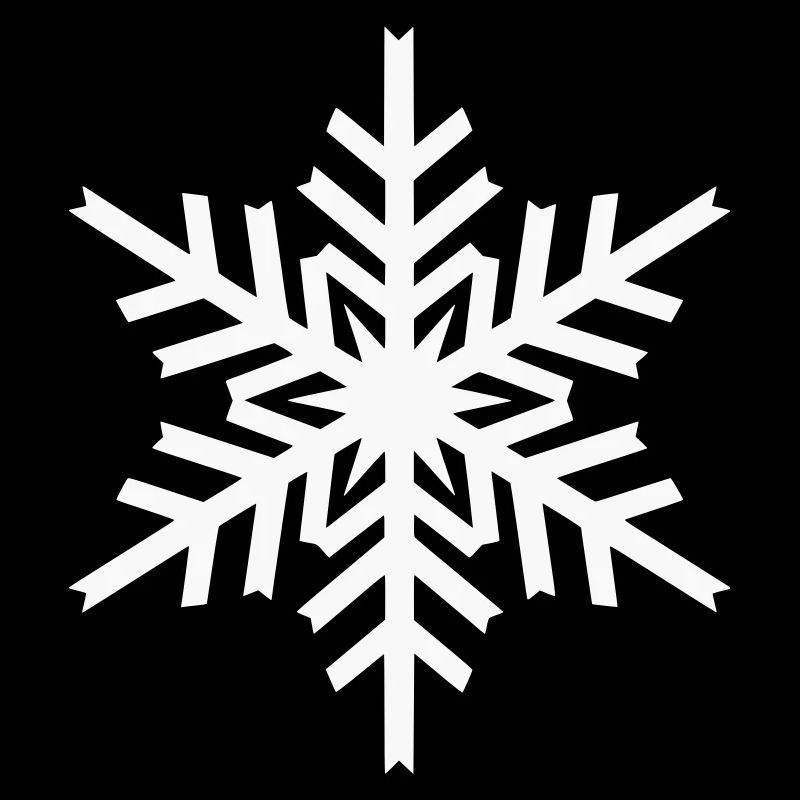 Geometric Snowflake