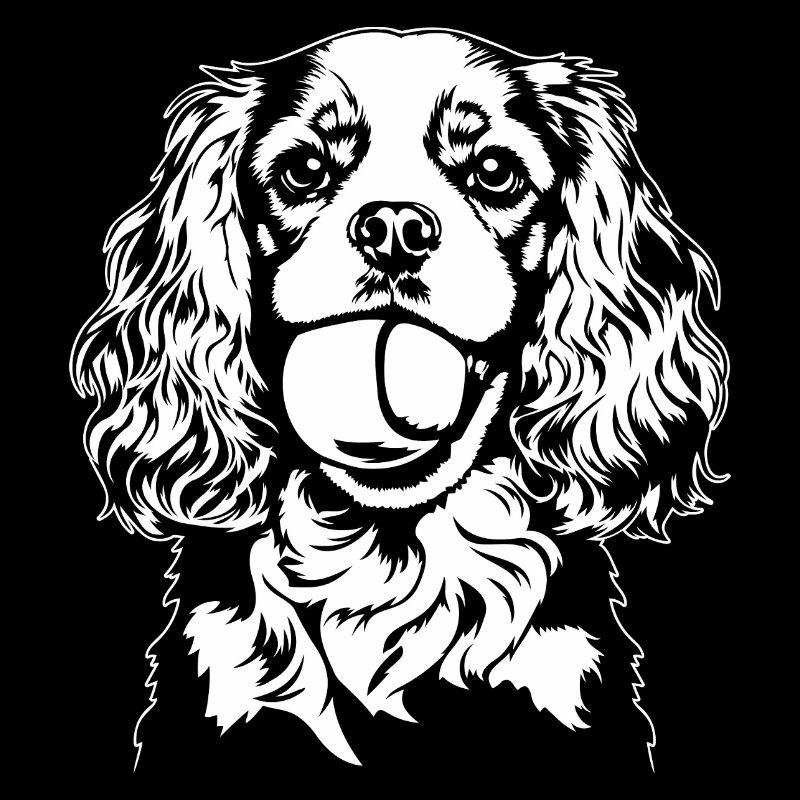 Cavalier King Charles Spaniel Ball Dogs Wilsigns
