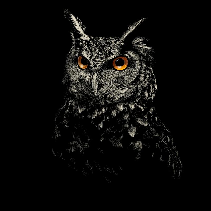 owl