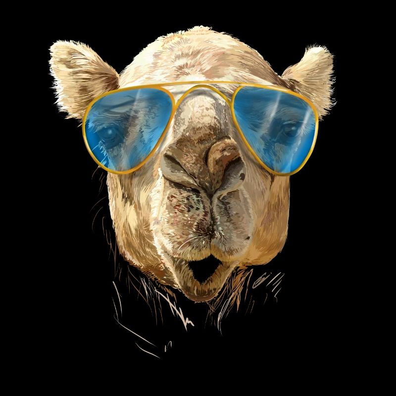 Camel with sunglasses