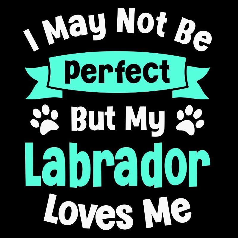 Dog Labrador Retriever