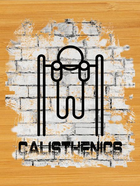 Calisthenics