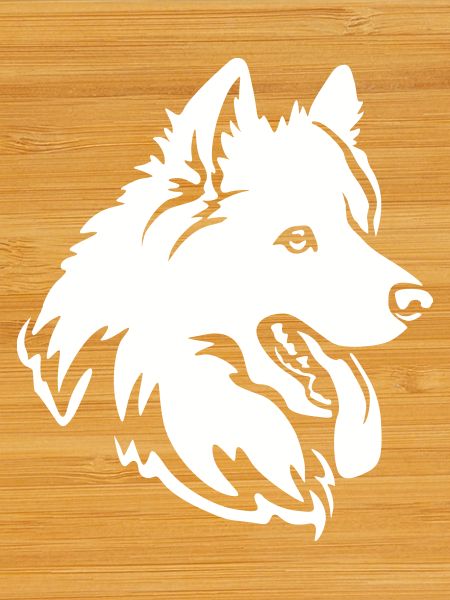 Samoyed Head "Black Edition"