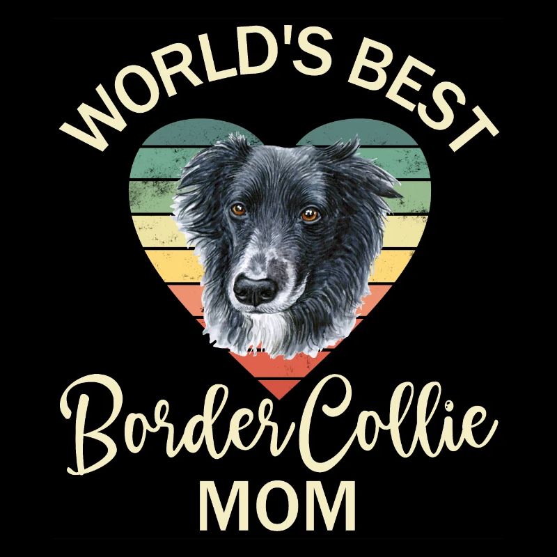 Hund Border Collie