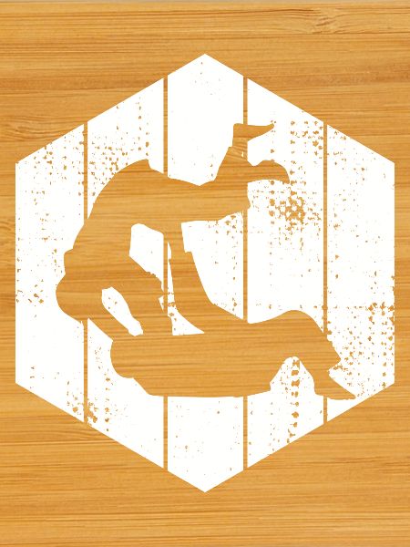 Judo Fighter