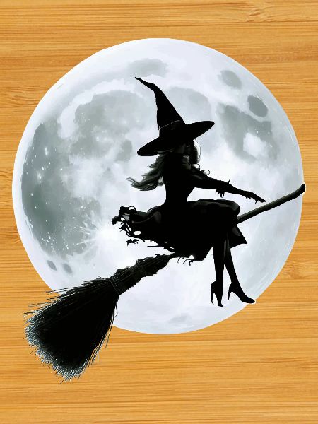 Sorcière sur balai