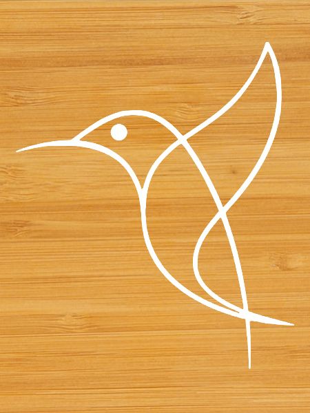 Sketch of a White Bird