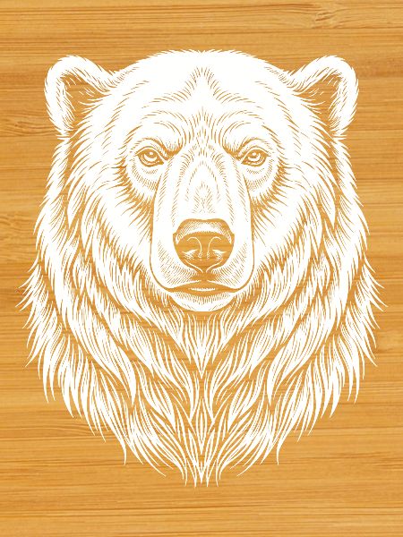 Bear Line Drawing
