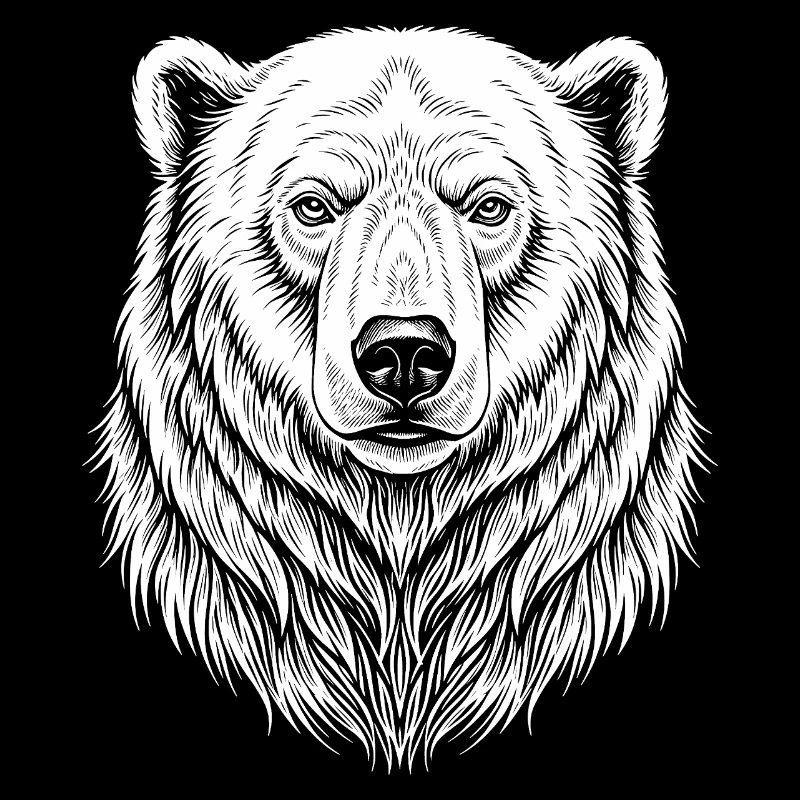 Bear Line Drawing