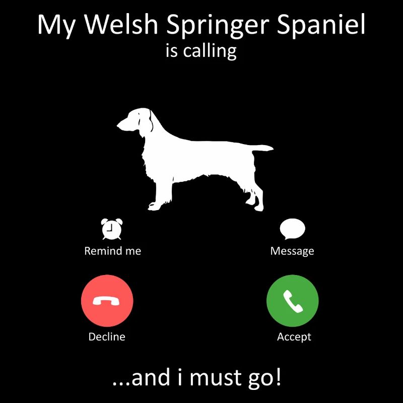 Welsh Springer Spaniel Is Calling Funny Dog