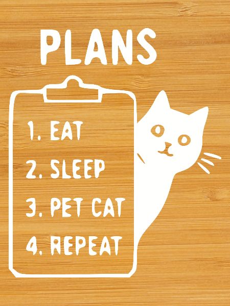 Cat Plan: Eat, Sleep, Pet