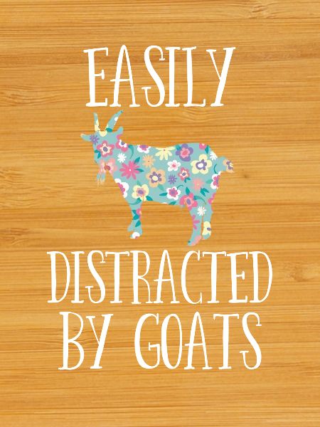 Easily Distracted By Goats