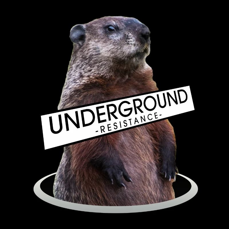 Marmotte résistante au sol - design