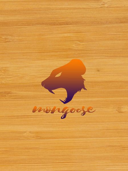 Mongoose nimble animal