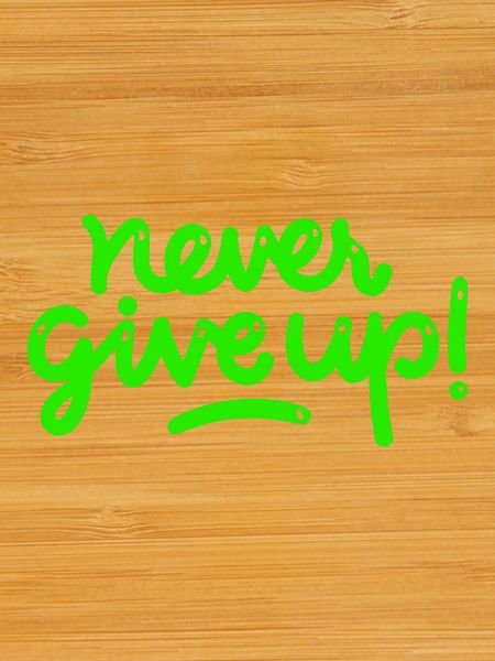 Never Give Up