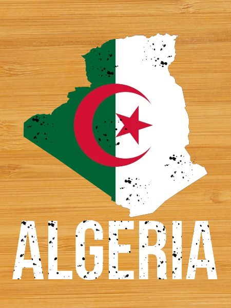 Algerian flag in map design
