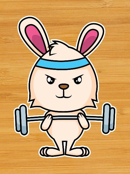 Fitness Bunny