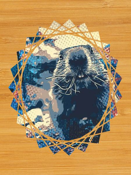 The groundhog is back - design