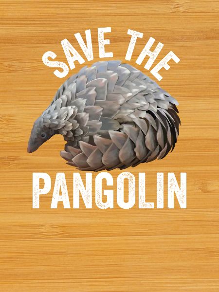 Pangolin - Save the Pangolin