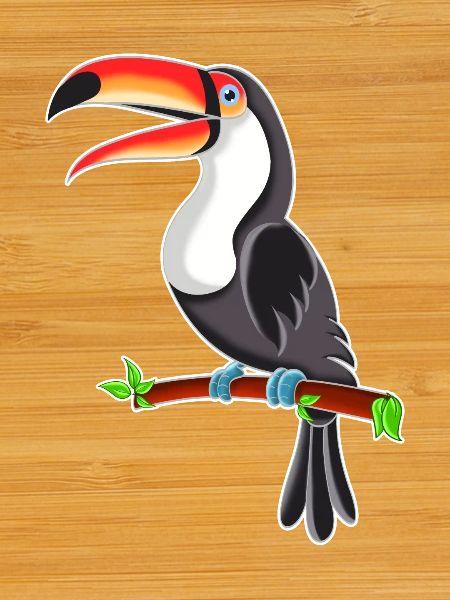 Toucan