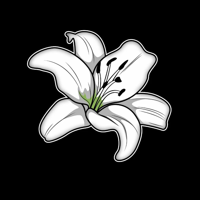 Élégante fleur de lys blanc