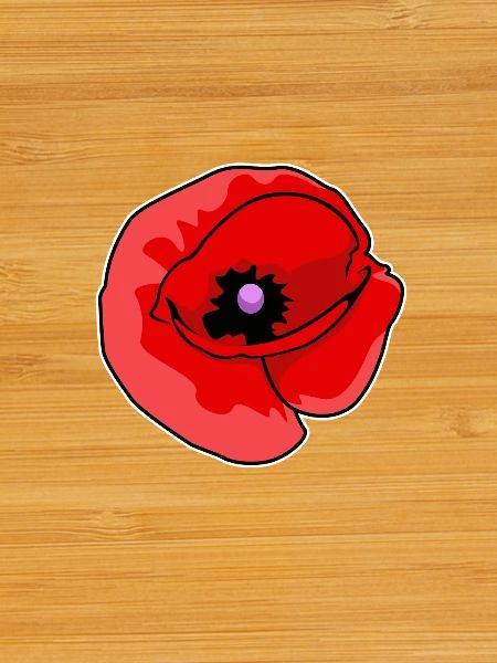 Artful Poppy on Canvas