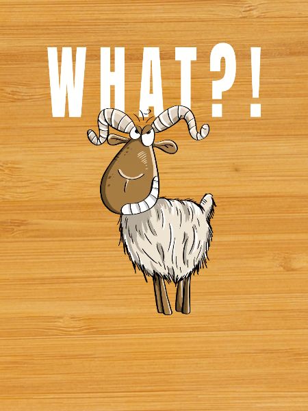 What?! Funny goat