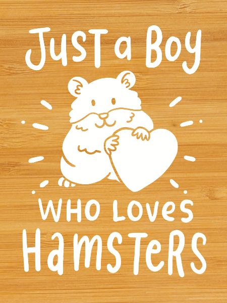 Hamster Hamster doré